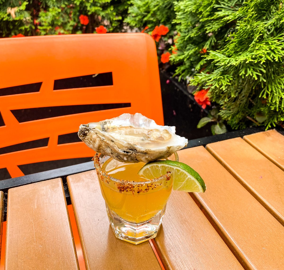 fishmarketva's tweet image. Friday mode: activated 🦪💥 one oyster shooter in and suddenly the night’s got plans—grab your crew, line ‘em up, and let’s get into it. 🔥
#delivery #supportlocalbusiness #visitalx #seafood #patiodining #fishmarket #ubereats #nomnom #grubhub