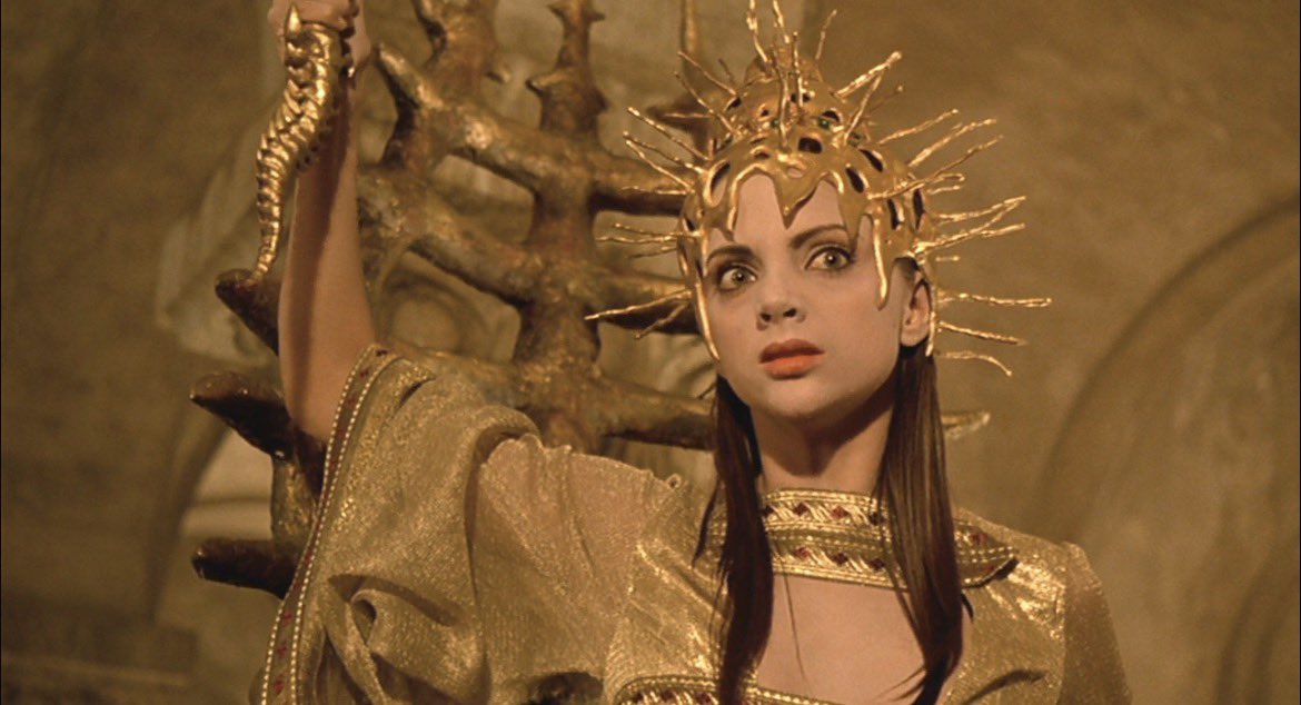 Charlotte Summertimes tweet media