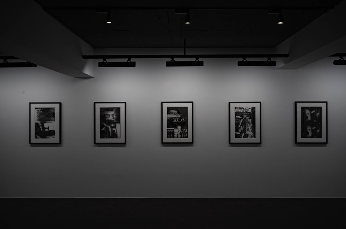 4D Modulation Studio tweet media