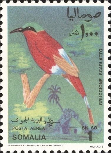 Somali Visuals ☆ tweet media