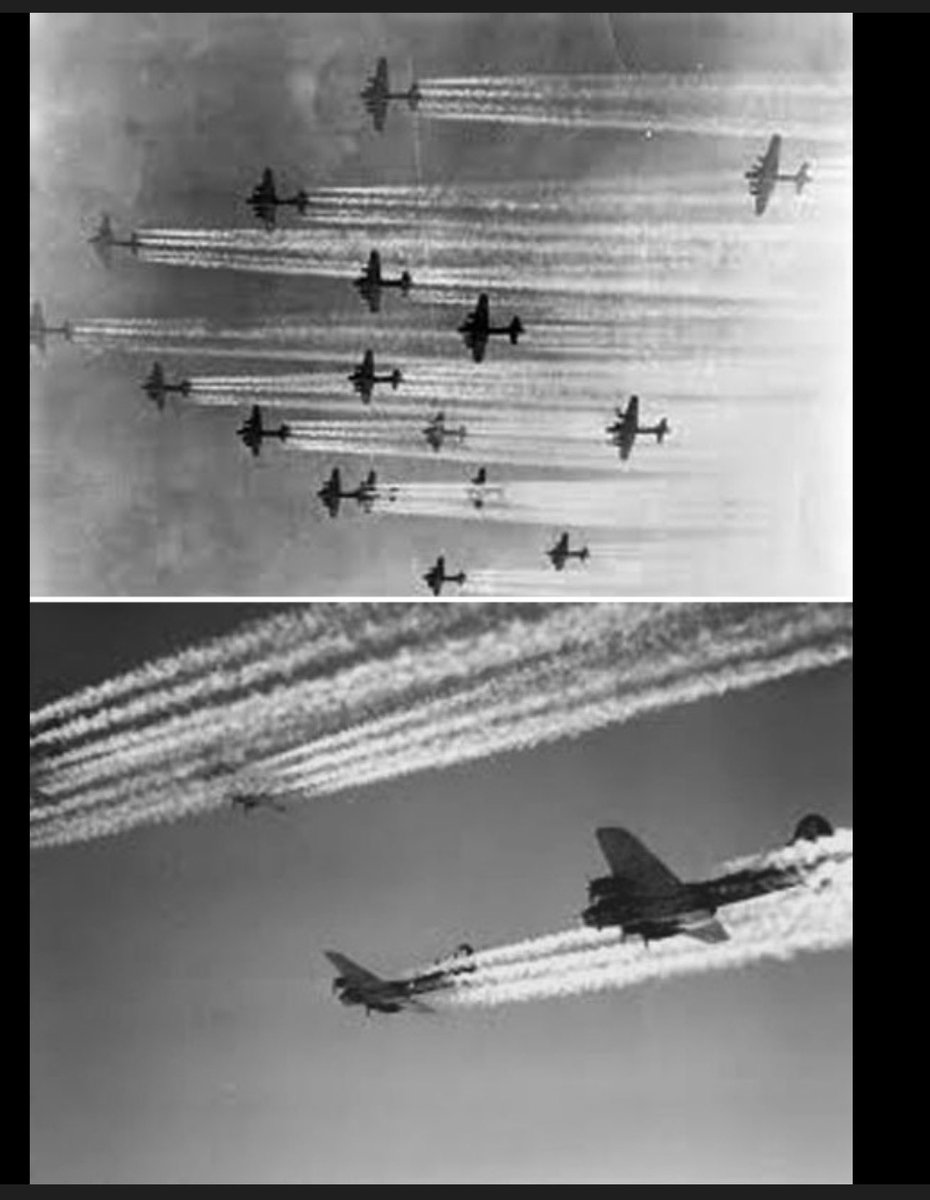 Phillip Box tweet media