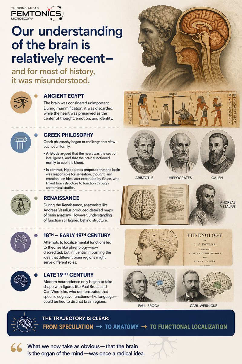 Femtonics's tweet photo. 🧠 For most of history, people didn’t think the brain was the center of the mind...🧐

#edfriday https://t.co/ZThLBz7Ag2