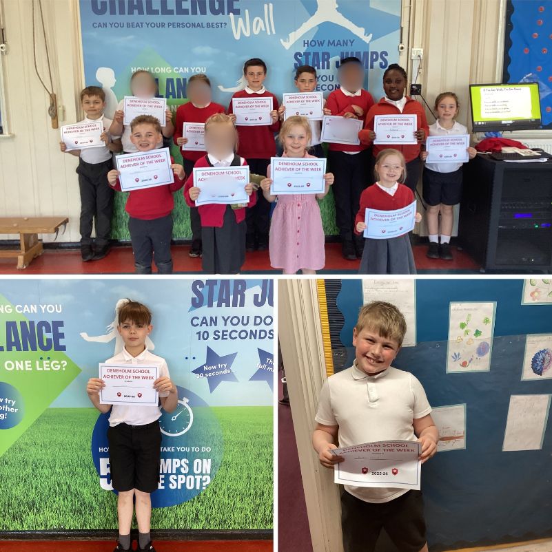 Deneholmprimary tweet media