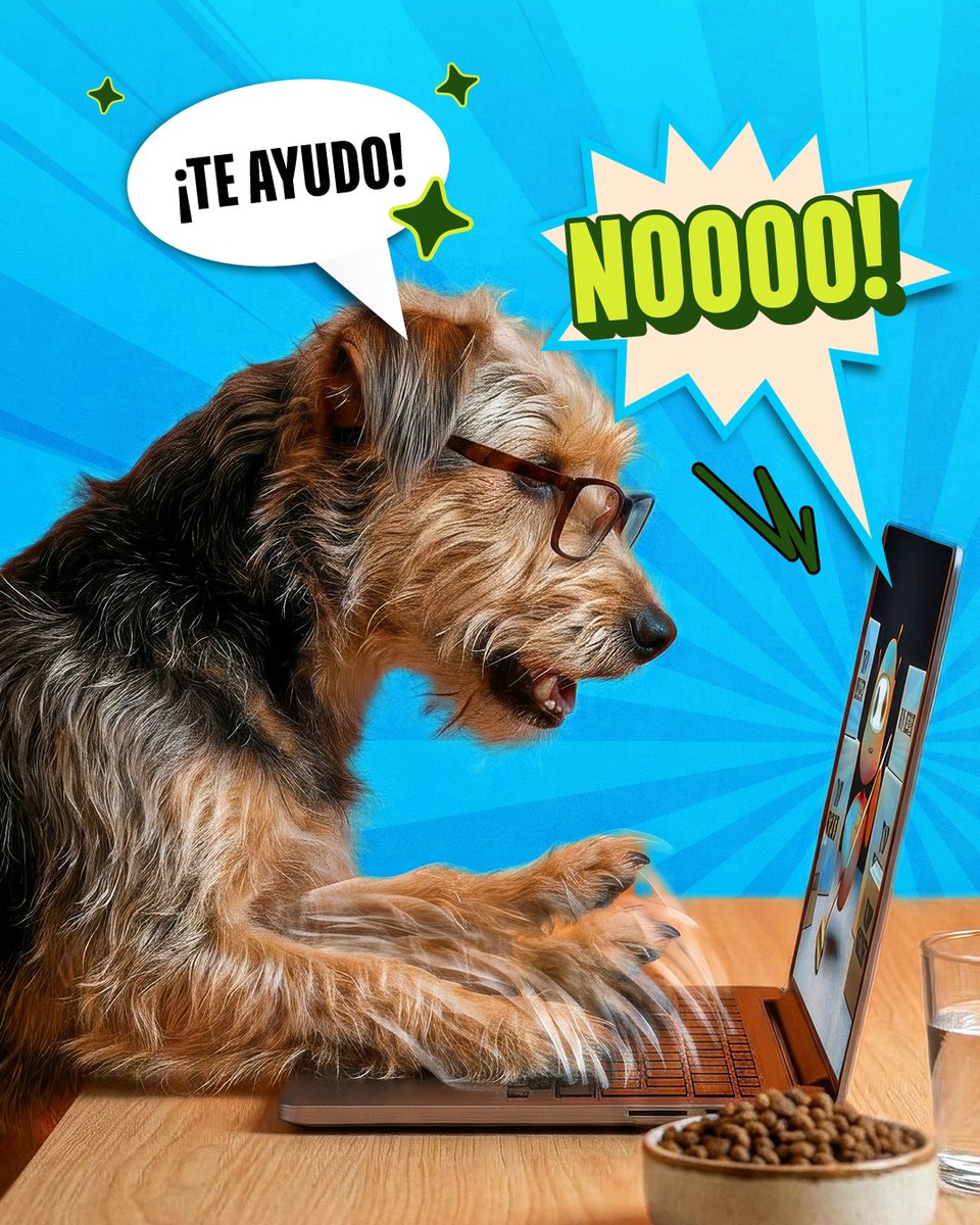 Hot Sale Argentina tweet media