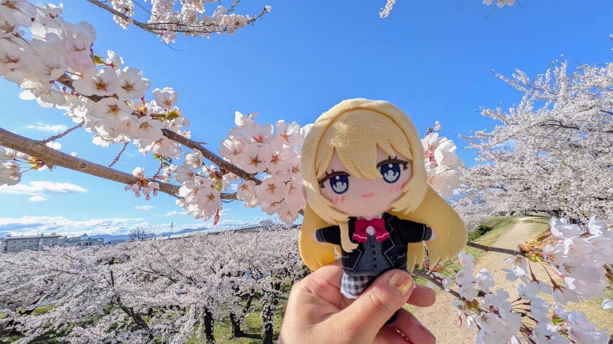 マカロニ@🐉🦅 tweet media