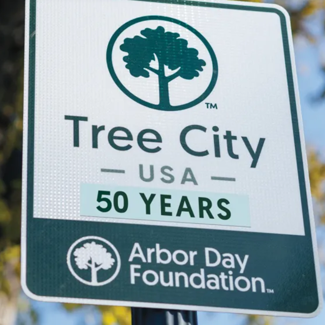 NJ_League tweet media