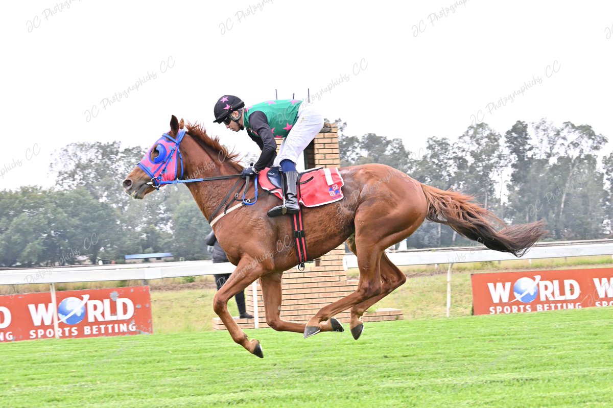 Gruffler's tweet photo. @JC_Photos1 Race 1 Winner: WE ARE THE LOGANS  
5 Ch g Flying The Flag (IRE) - Crimson Lane (USA) by Street Cry (IRE)
Owners: Mr M G Bothma &amp; Mrs A M Bothma
Trainer: B Webber Jockey: J Gates https://t.co/ws5UJaP4hk