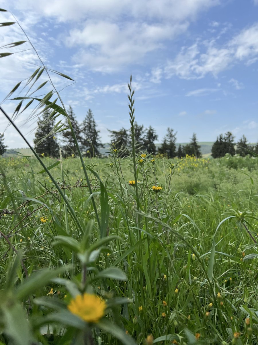 Bassemsaioudi tweet media