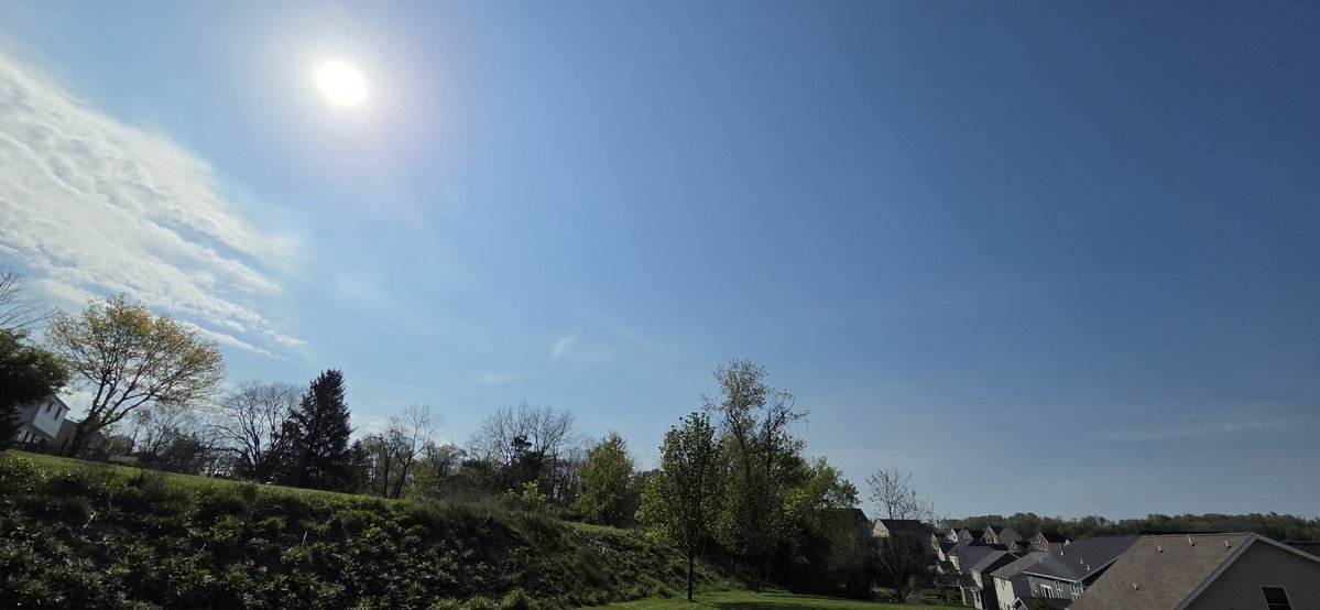 AmyCPhotos's tweet image. Gonna be 84° today 🌞 
#BeautifulDay #Pittsburgh