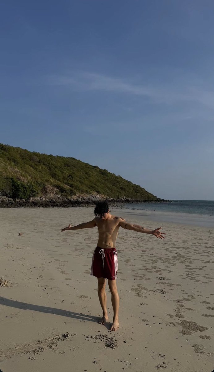 Sall🫍🐻‍❄️ tweet media