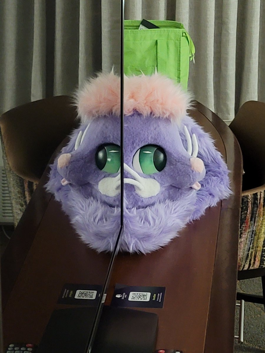 ItsBowieBun's tweet photo. inside u there are two bunnies
(I'm at #Furgeddaboutit 2026! expect more piccys~ or if at this smol con, find me!)
#FursuitFriday #furg https://t.co/eKMFrzzhAz