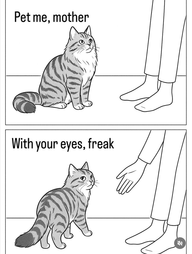 Solamira✨️ tweet media