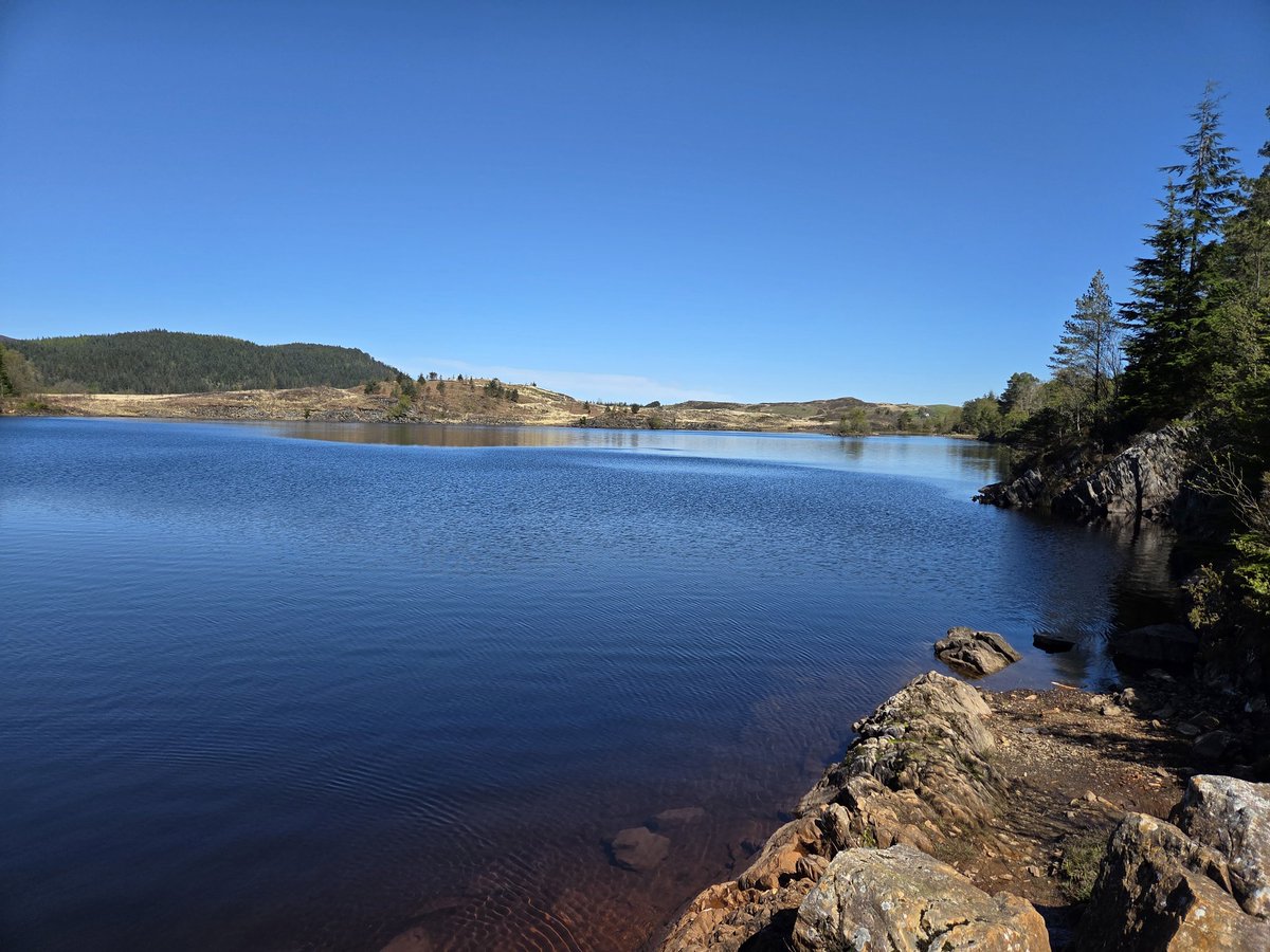 GingerM1ke's tweet image. Clear blue skies for an afternoon walk in #Conwy No swimming unfortunately as there were people fishing, and I was told swimming is prohibited (no signage tho 🤷) 
#TreeClub @WoodlandNomad @virtuallysoph 🌳