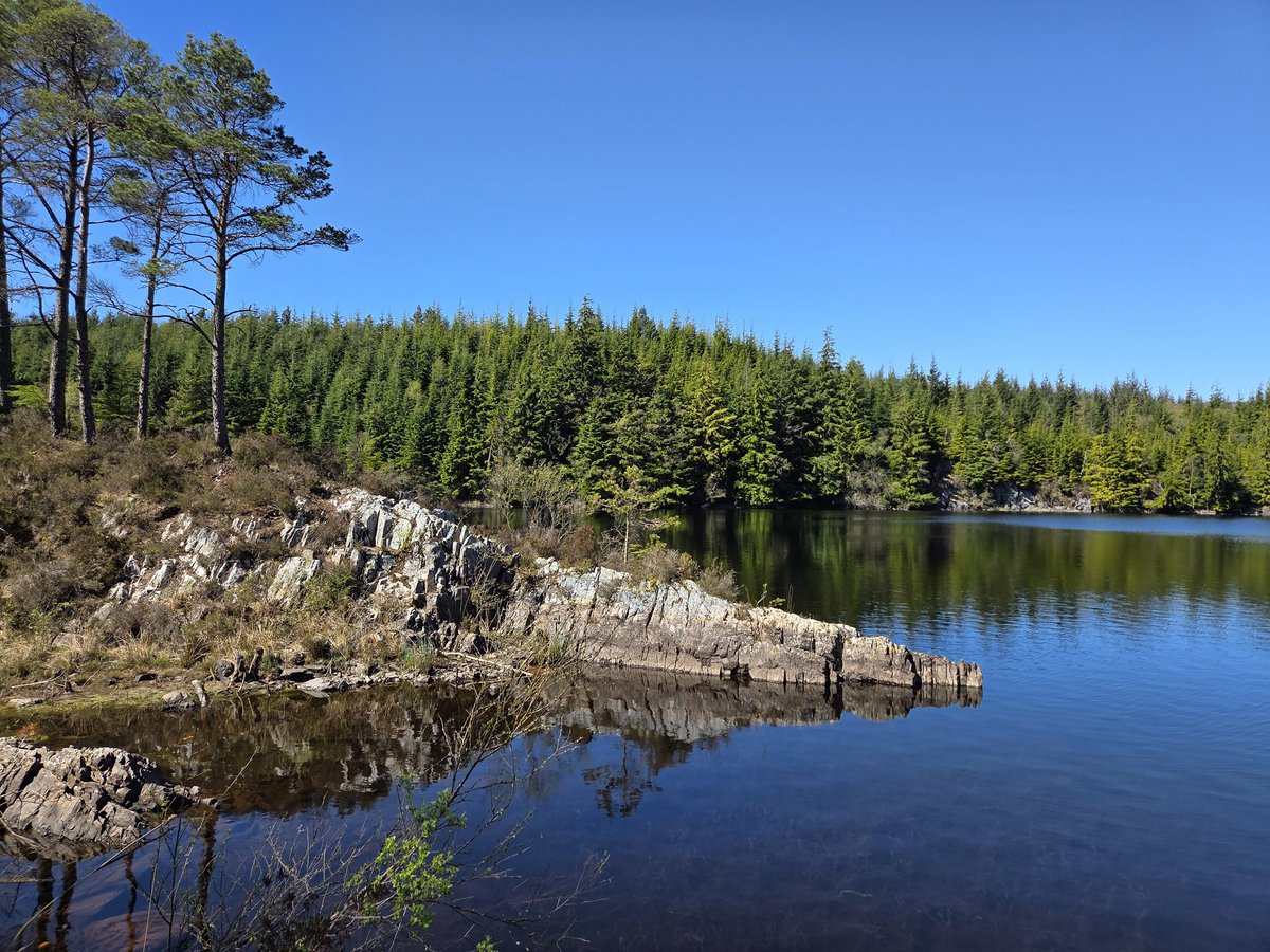 GingerM1ke's tweet image. Clear blue skies for an afternoon walk in #Conwy No swimming unfortunately as there were people fishing, and I was told swimming is prohibited (no signage tho 🤷) 
#TreeClub @WoodlandNomad @virtuallysoph 🌳