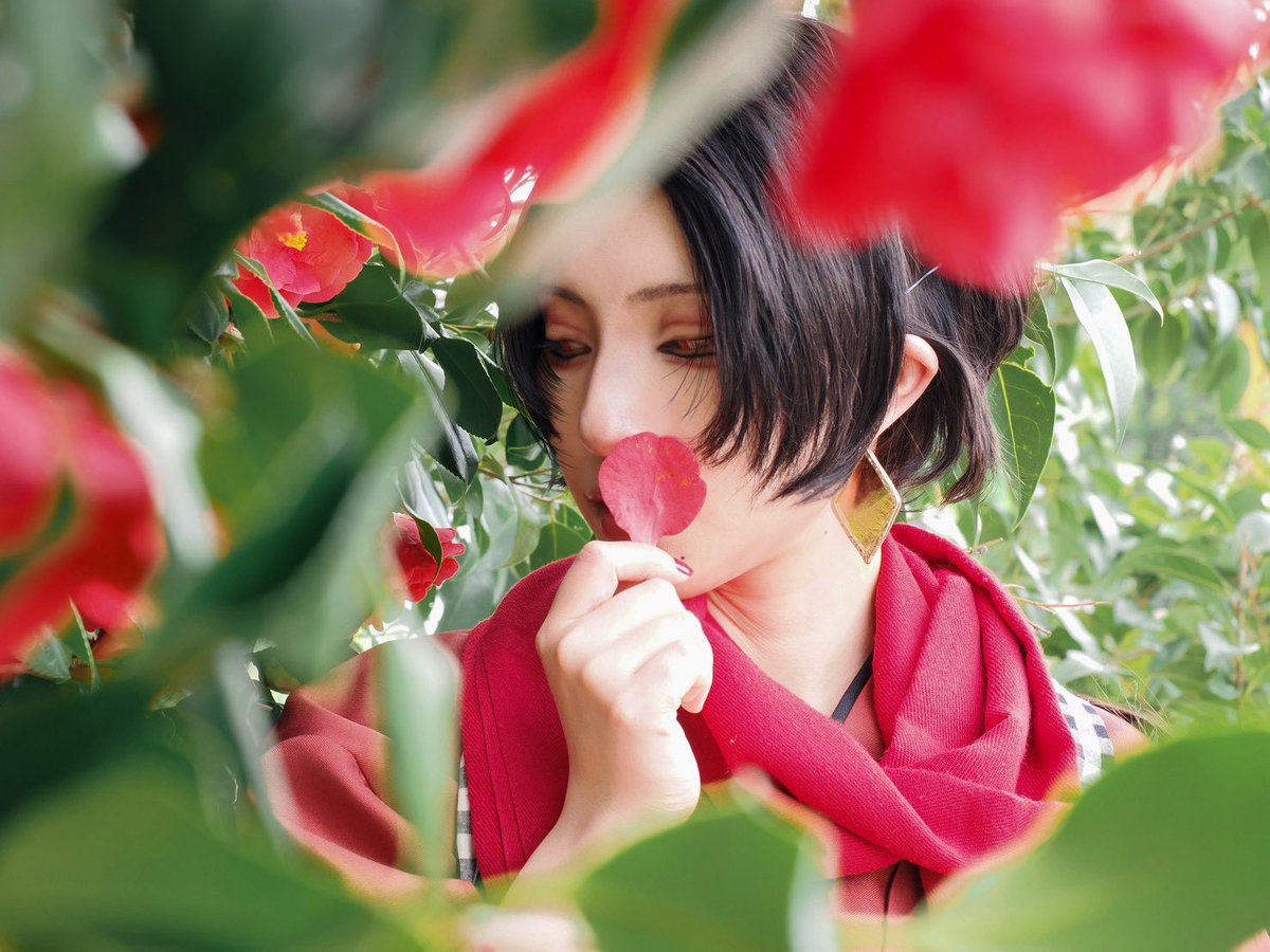 200m400mC's tweet photo. コスプレ 加州清光
撮影：いな
--------------------
お花とか花びらは地面に落っこちてたやつを拾って撮影してるよん  清光といえば椿みたいなとこある（？）から一緒に撮れて嬉しい！軽装の柄も椿だしね この日は内番だが https://t.co/GldlrkWK9U