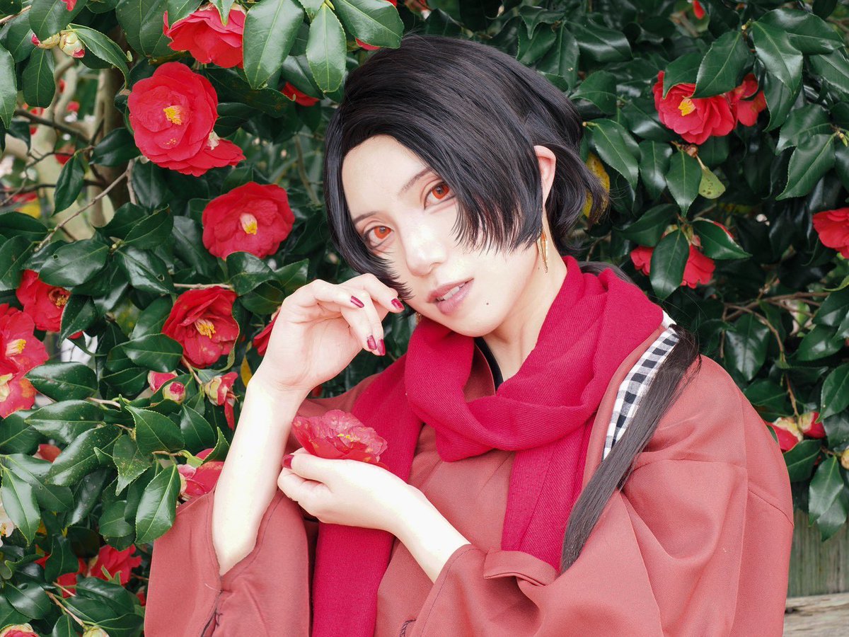200m400mC's tweet photo. コスプレ 加州清光
撮影：いな
--------------------
お花とか花びらは地面に落っこちてたやつを拾って撮影してるよん  清光といえば椿みたいなとこある（？）から一緒に撮れて嬉しい！軽装の柄も椿だしね この日は内番だが https://t.co/GldlrkWK9U