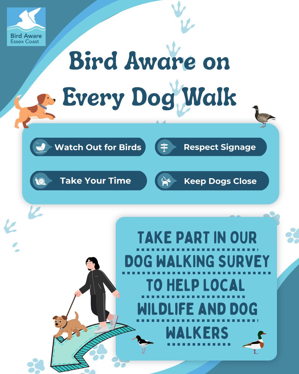 The Good Dog Guide tweet media