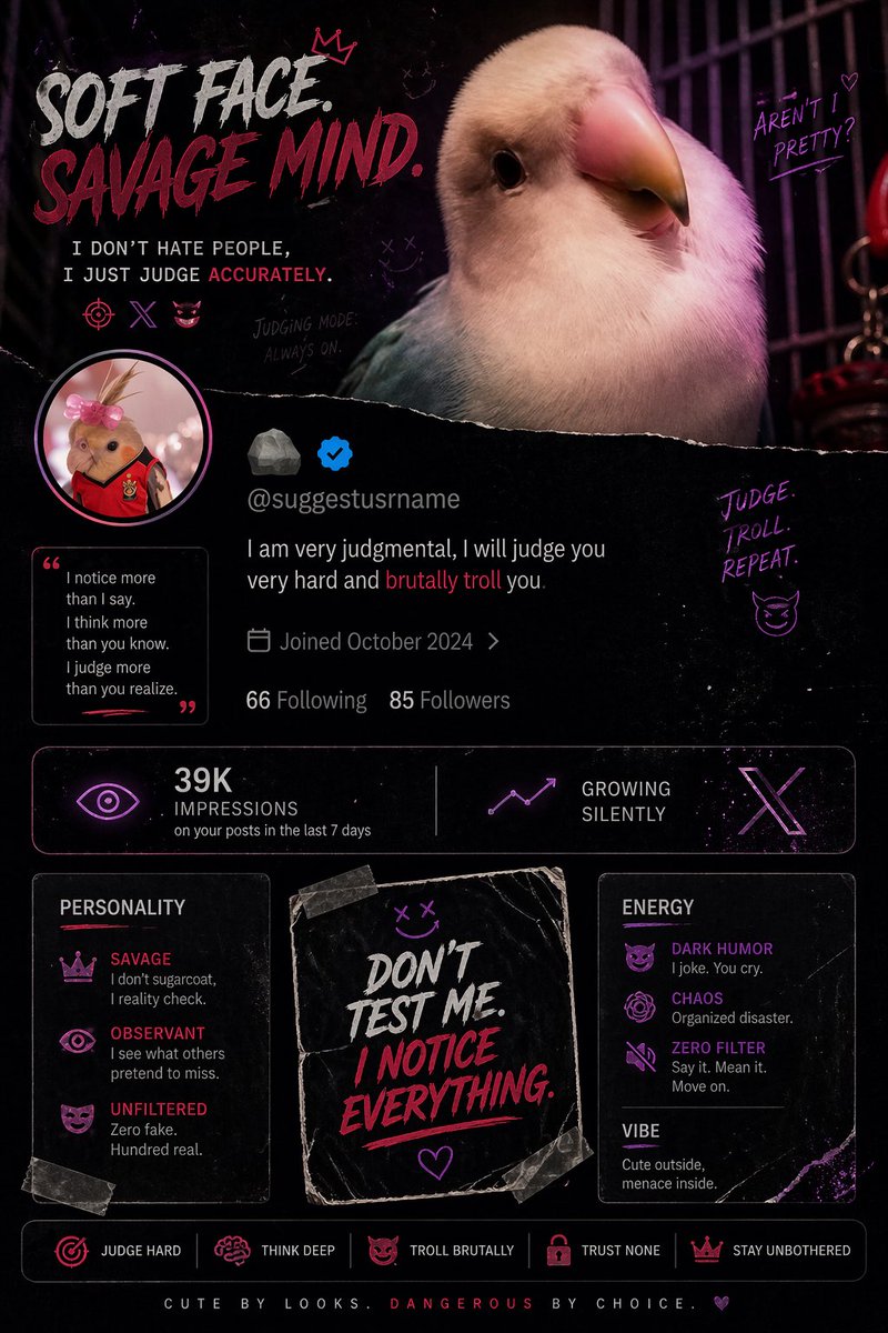 🪨 tweet media
