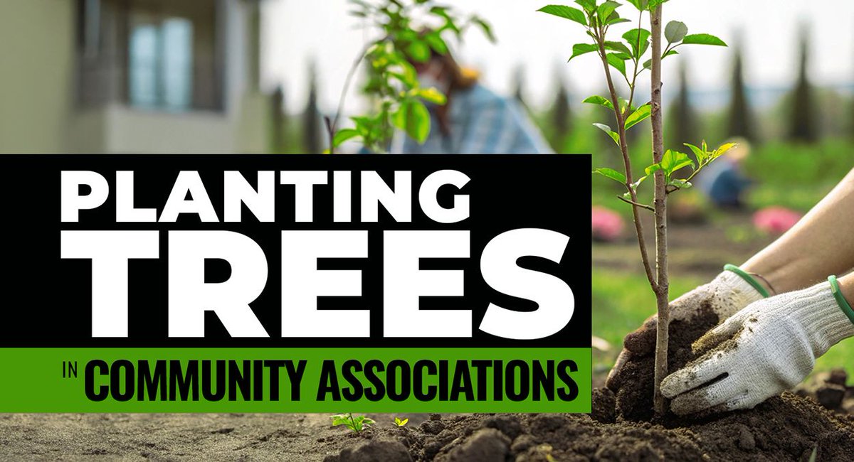 New KSN blog: Planting Trees in Community Associations

- Aesthetic Value
- Cost Savings
- Improved Air Quality
- And more!

Read the full article here:

ksnlaw.com/blog/planting-…