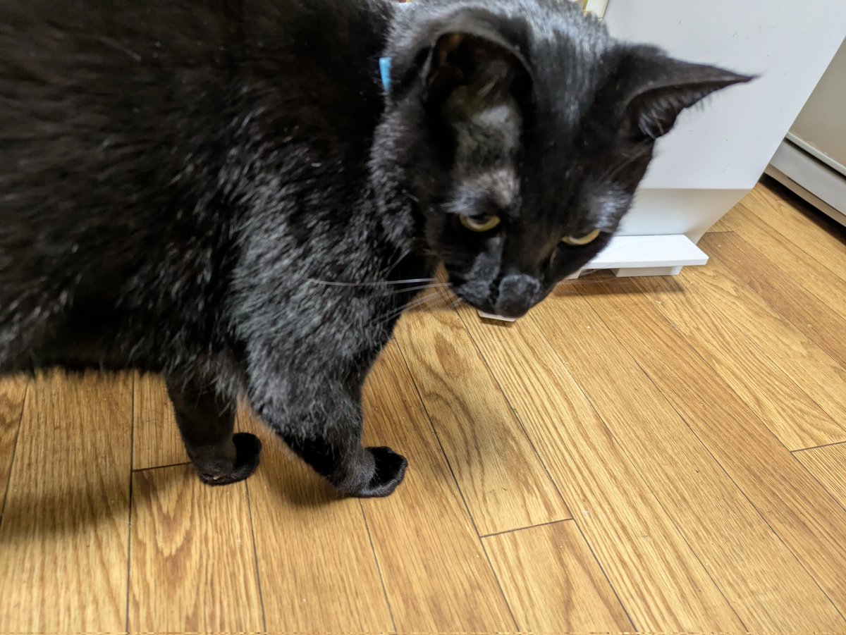 川久保秀一 tweet media