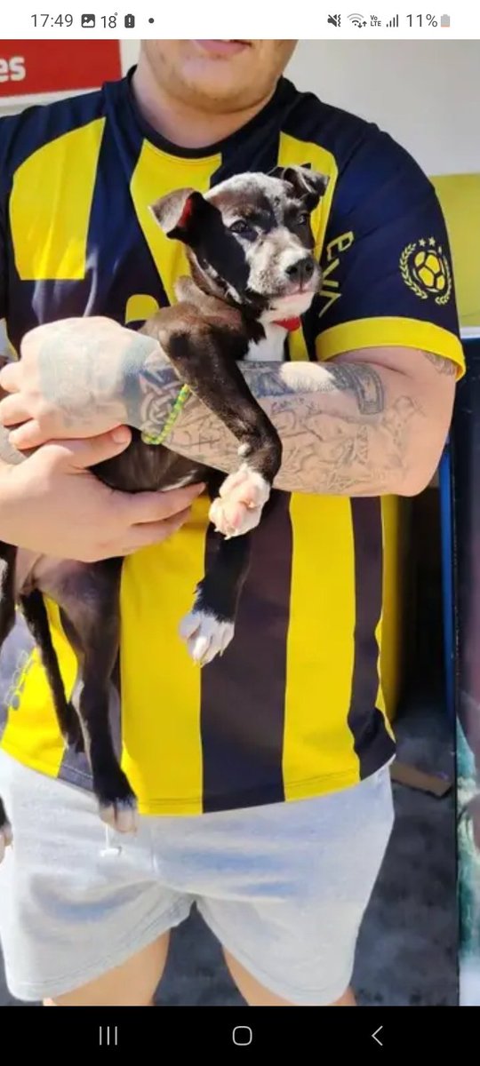 Giovanna Moreno tweet media