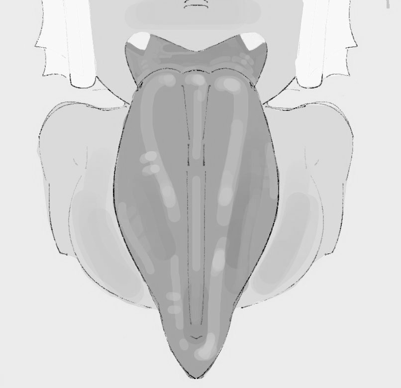 ♠️𝙉𝙚𝙜𝙧𝙤𝙩𝙤𝙧𝙤 ♂️ tweet media