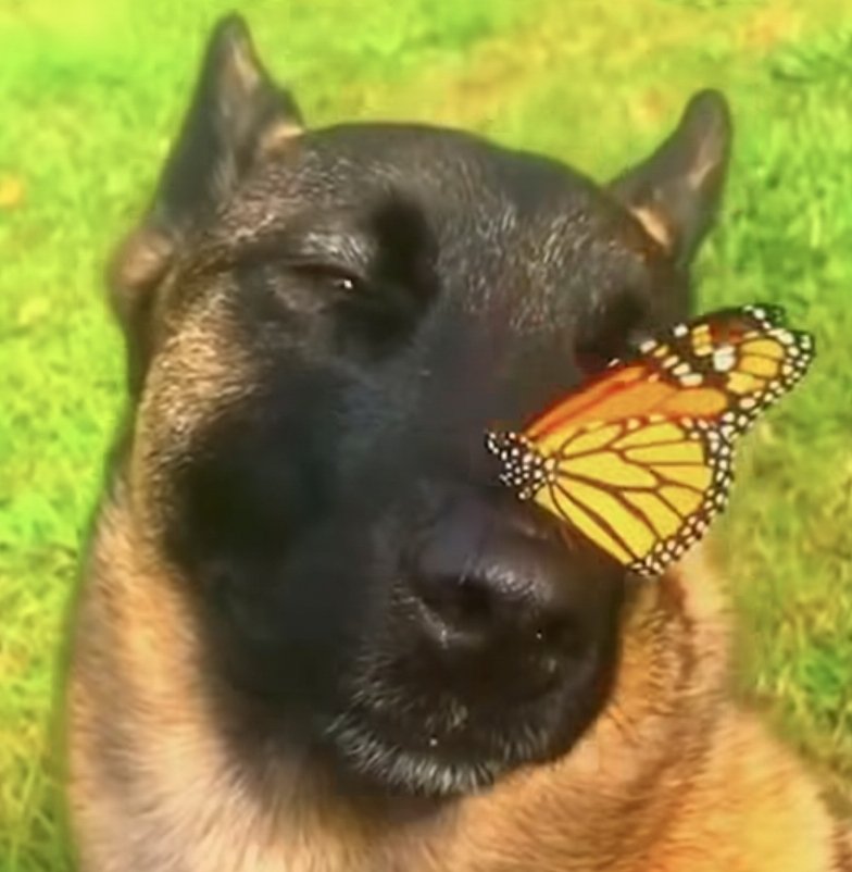 leben seit fortnite quit