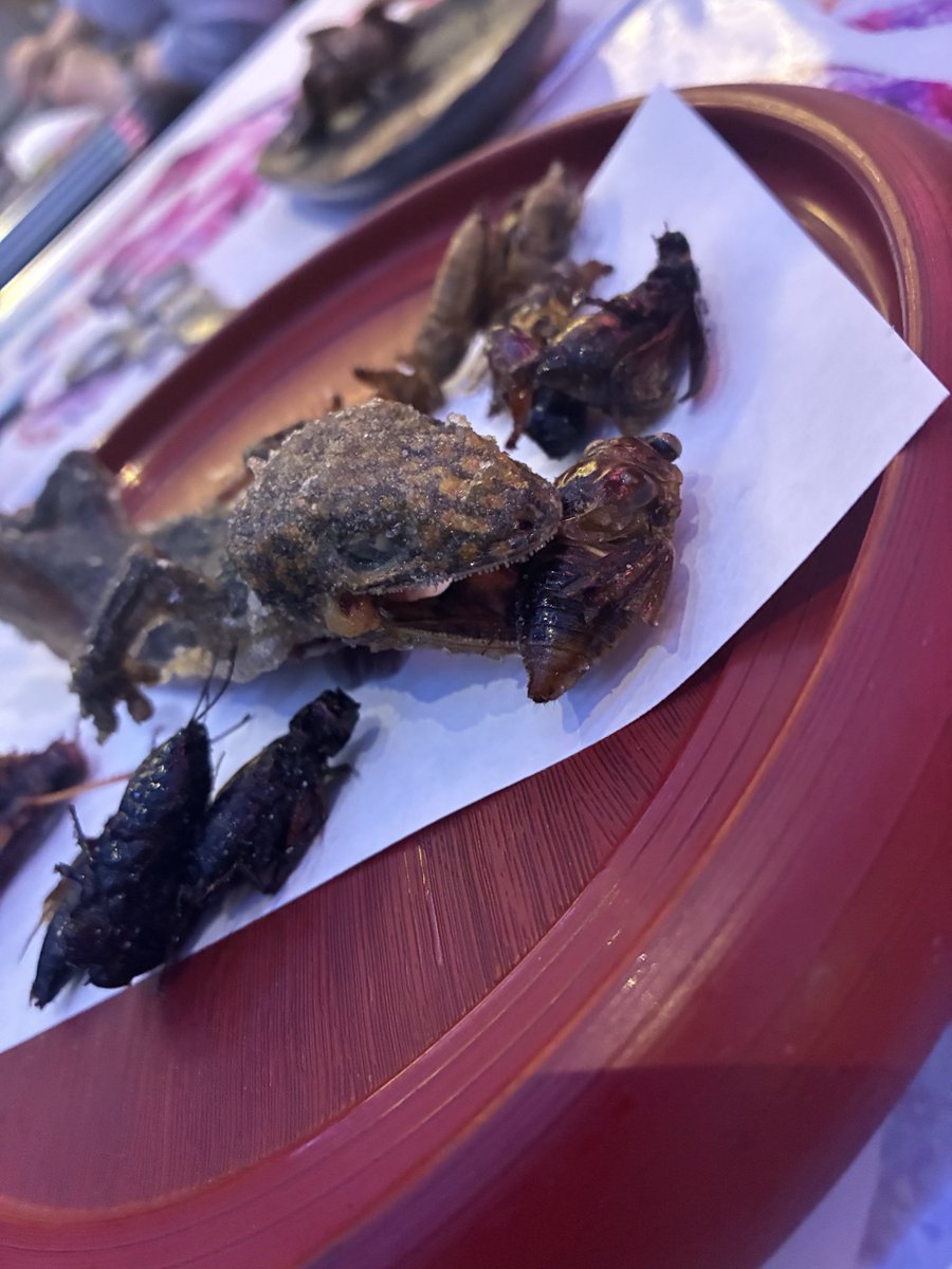 彩雨｜摩天楼オペラ tweet media