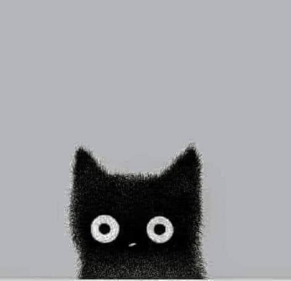 pablo (Falucho) Diaz Cabral. tweet media