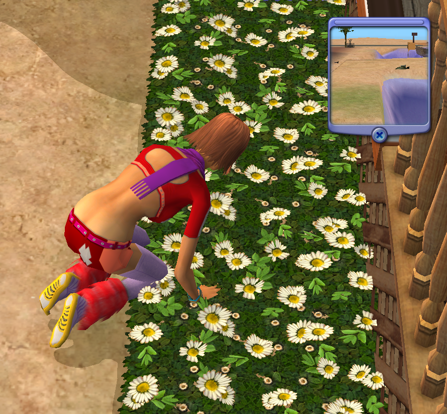 Estelle Flores tweet media