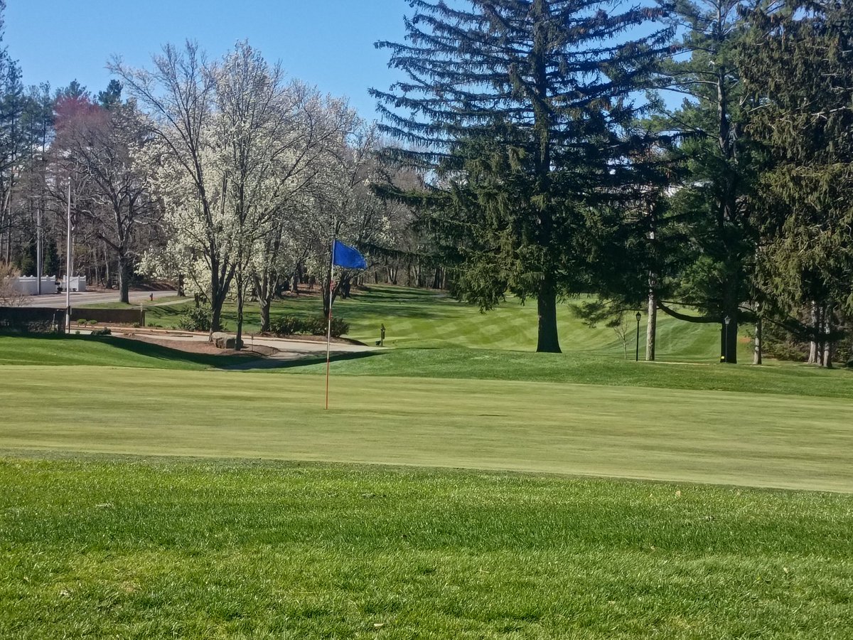 Anthony Siciliano tweet media