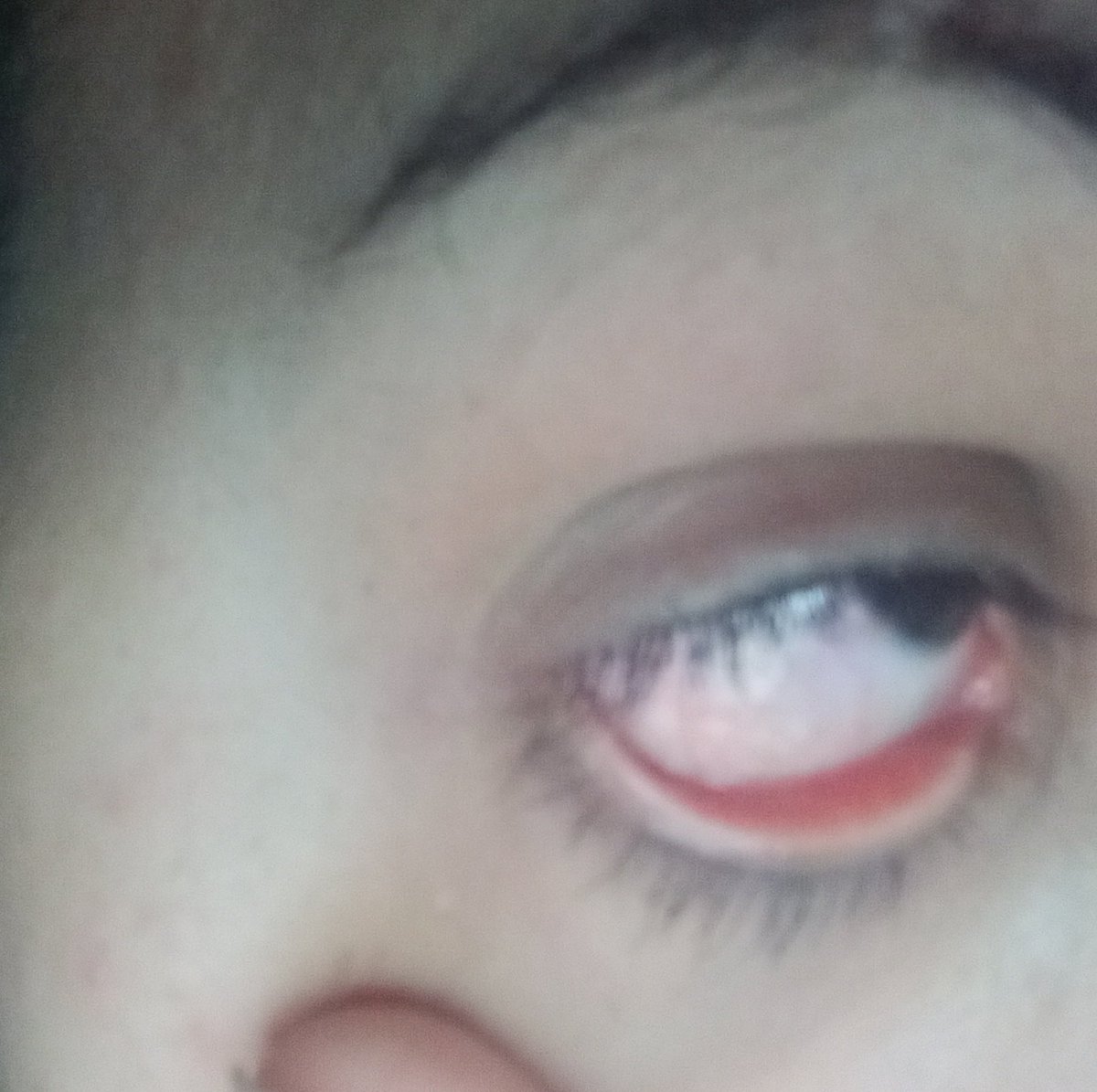 Dalula in Gaza tweet media