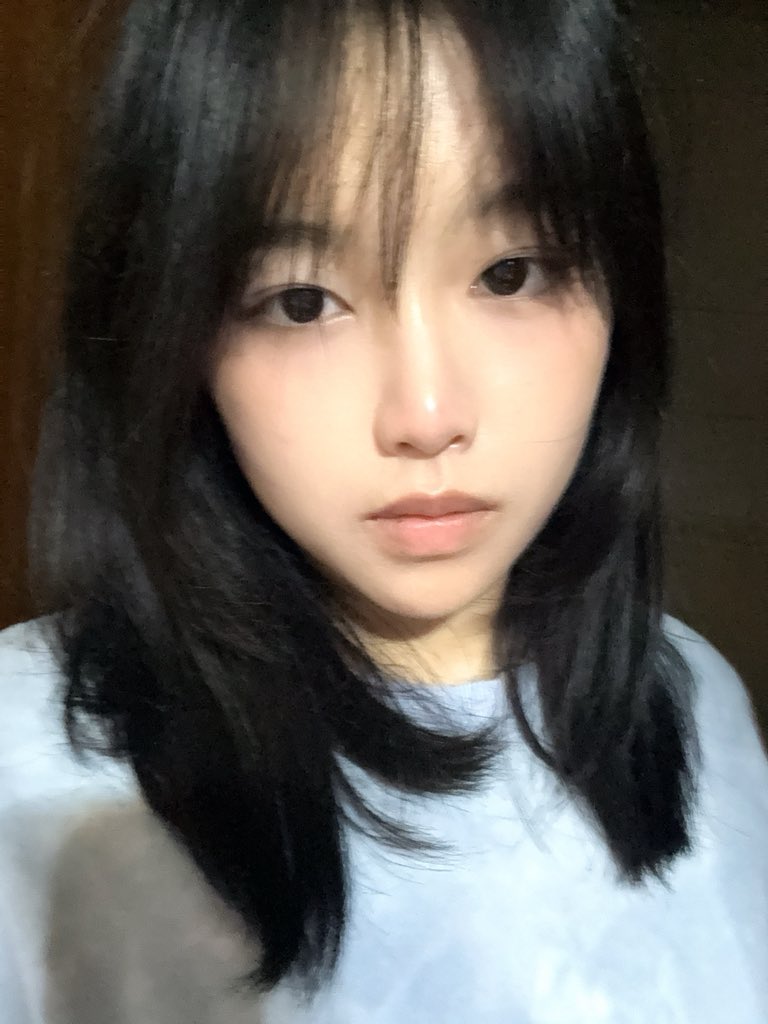 Twilight（躺平版） tweet media