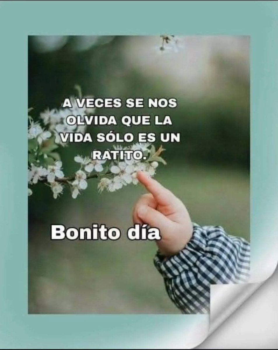 Piluchy Hola mi tweet media