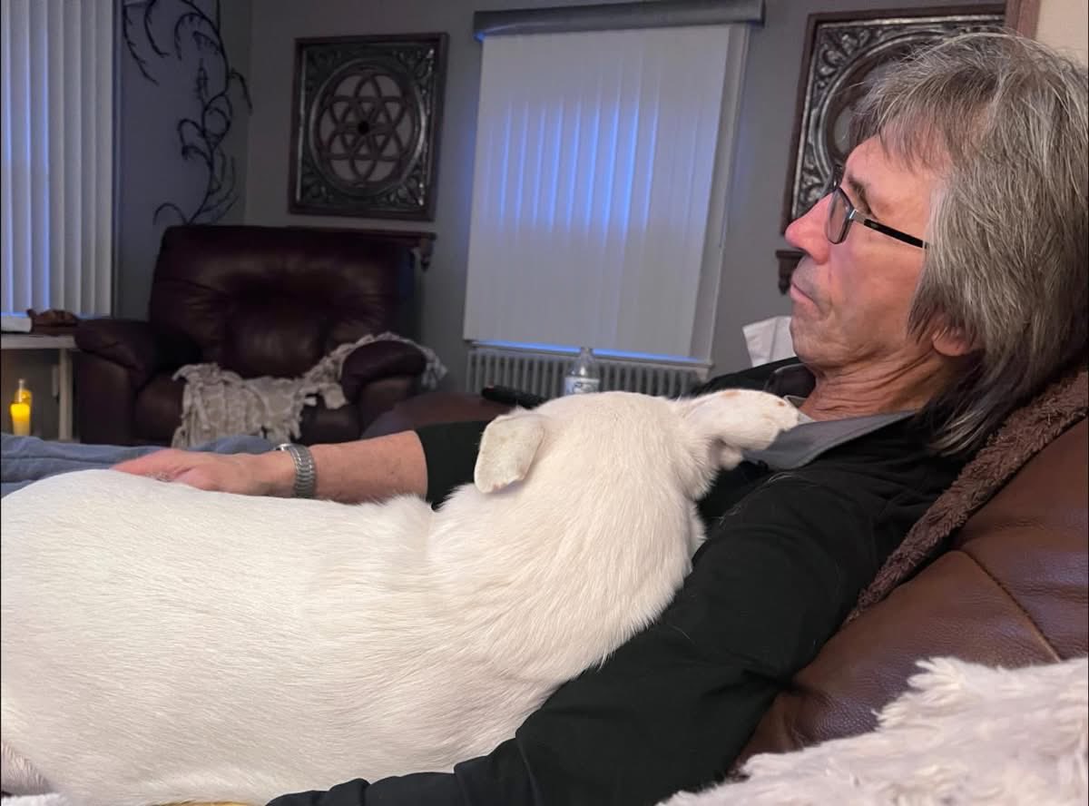 Steve Carlson #17 tweet media