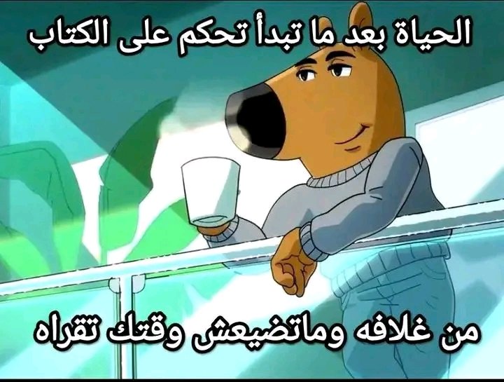 يائير. tweet media