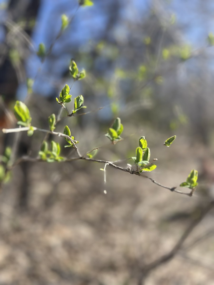 Rose McG tweet media