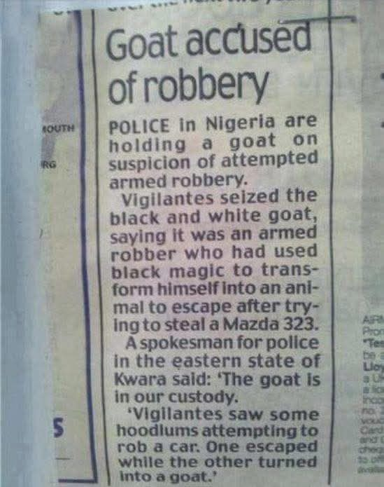 Stefan Springs tweet media