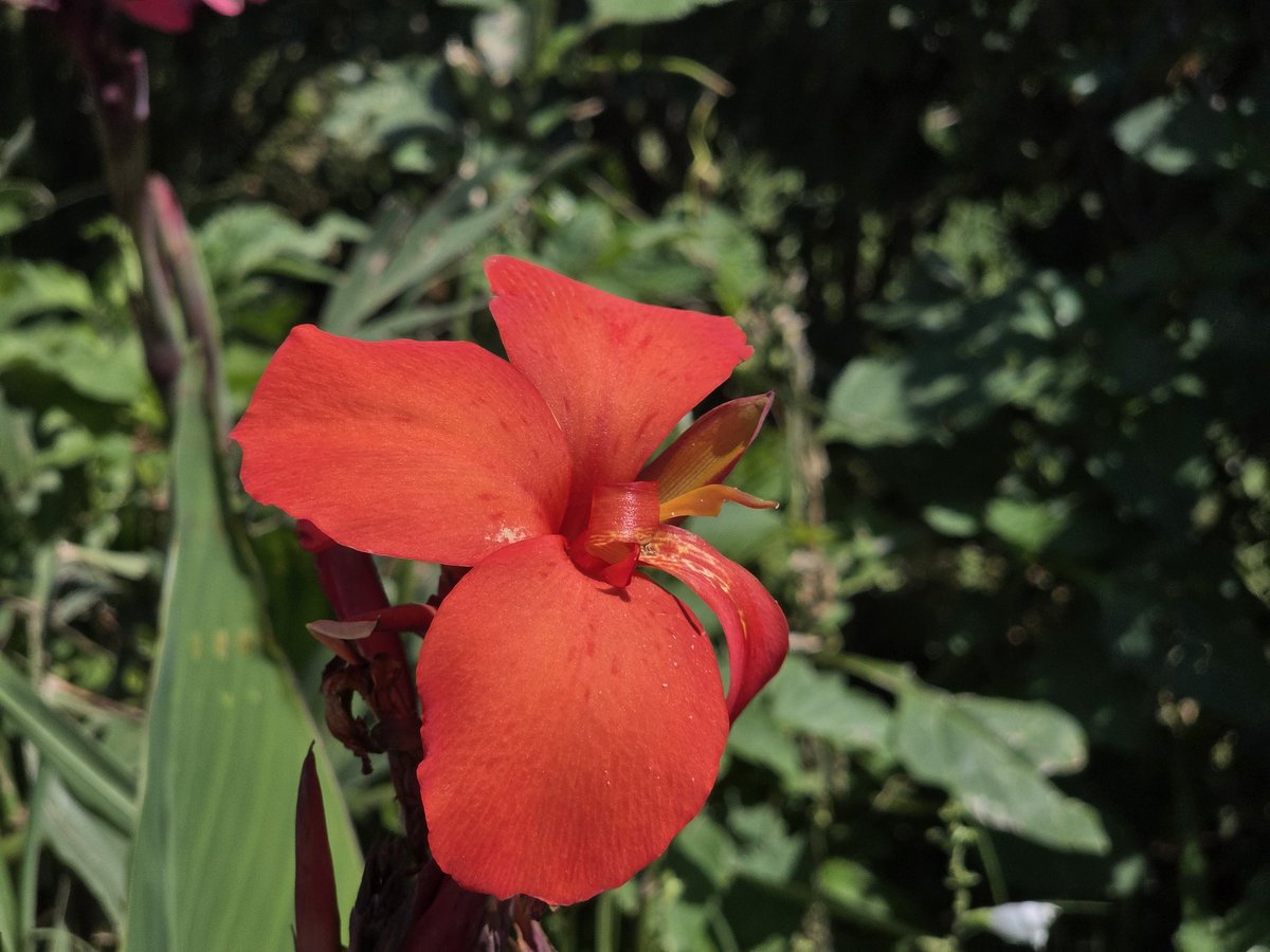 Alfredo Wasser tweet media