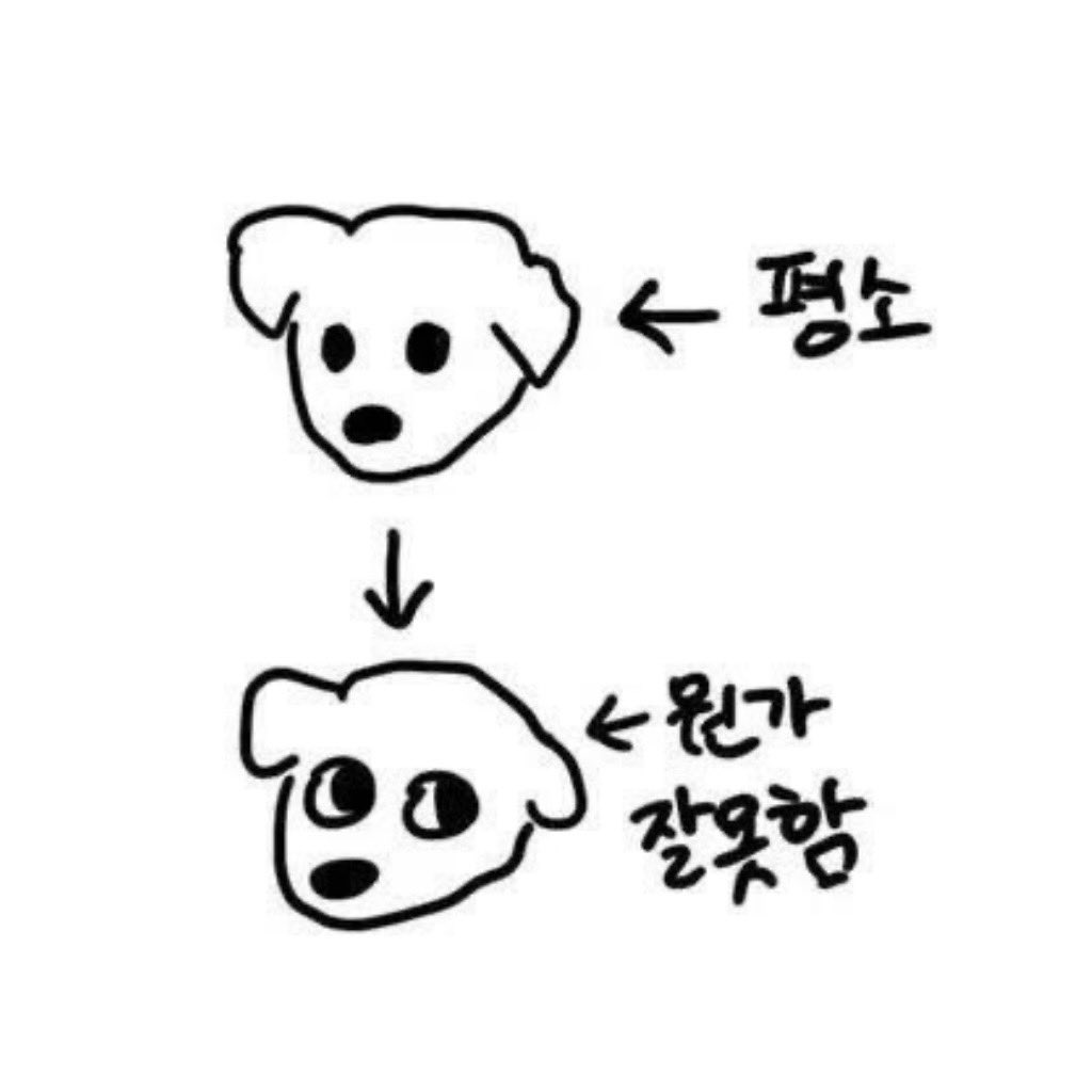 이슬 ꕤ tweet media