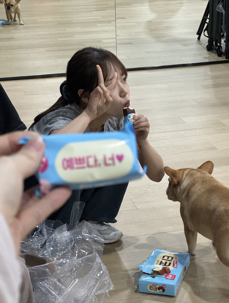 2026.04.24 📸 ioi Plus Chat
Chae Yeon update:
아이스크림 먹을 날씨야 슬슬 💛 예쁘다 너❤️

Yeah!! Kim doenjang is here 🐶
I missing soooooooo much😭

#아이오아이 #IOI #LOOP 
#ioi_10th #IOILOOP 
#김세정 #KIMSEJEONG
#キムセジョン #金世正
#세정 #SEJEONG
#IOICONCERTTOUR_LOOP_IN_SEOUL
