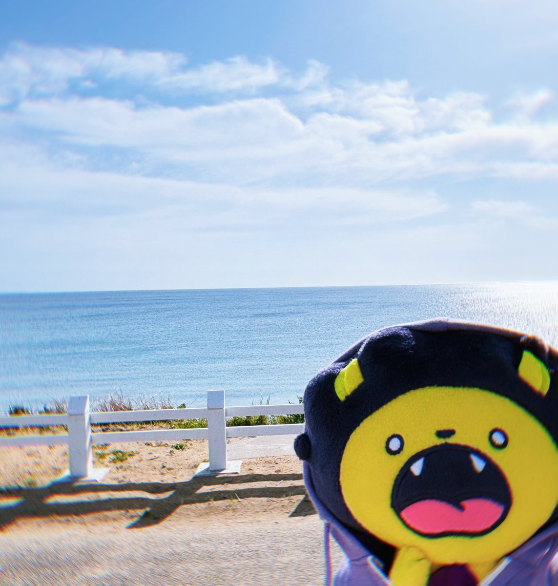 ☕️と🌊と🦁