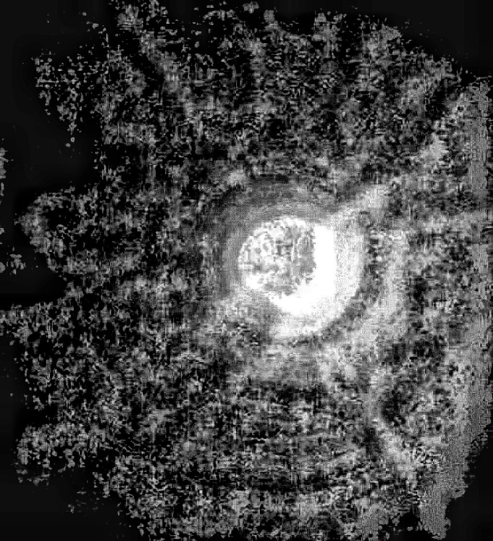 Karen Cochran tweet media