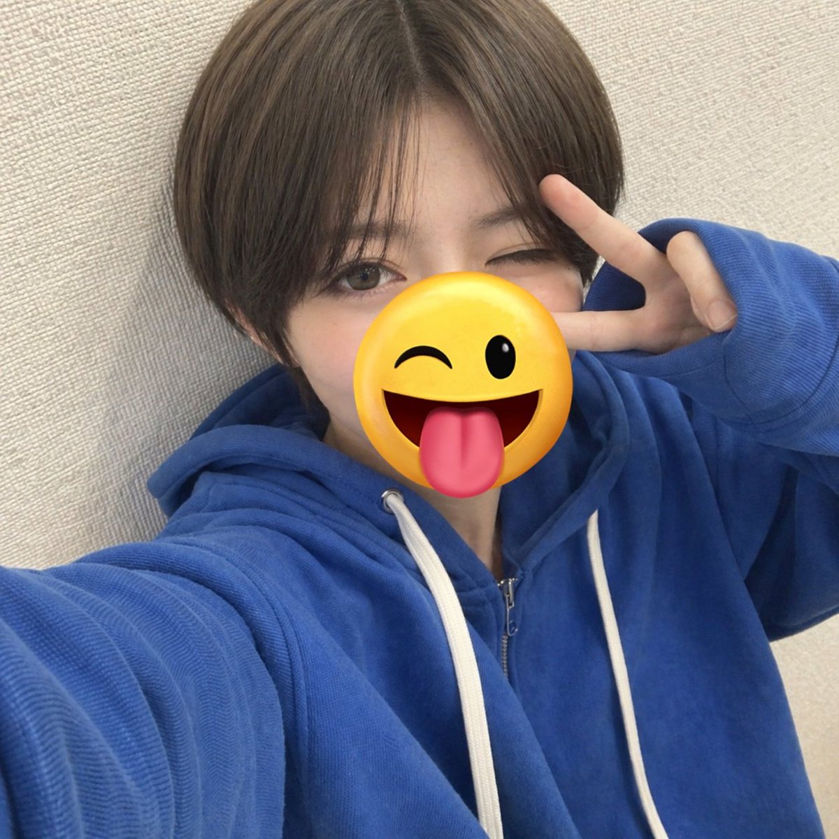 🧸 tweet media