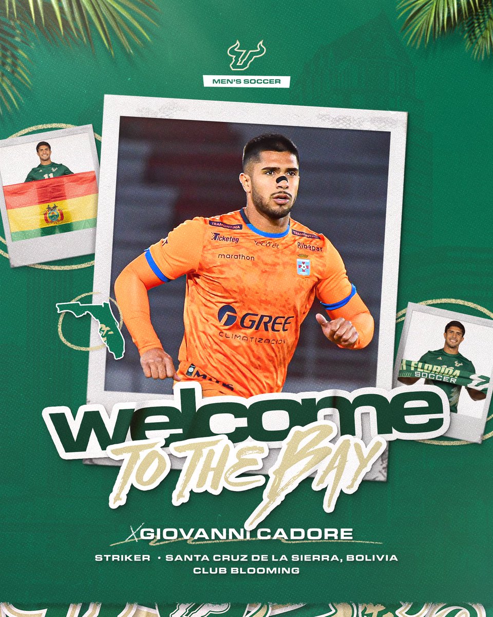 USFMSOC's tweet photo. Welcome to the Bay, Giovanni 🌴 https://t.co/chaiPGxiKM