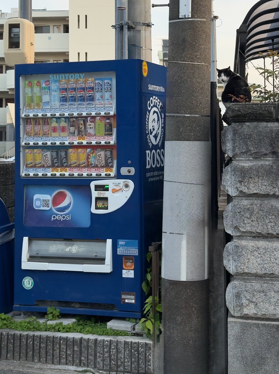 小林哲朗　写真家 tweet media