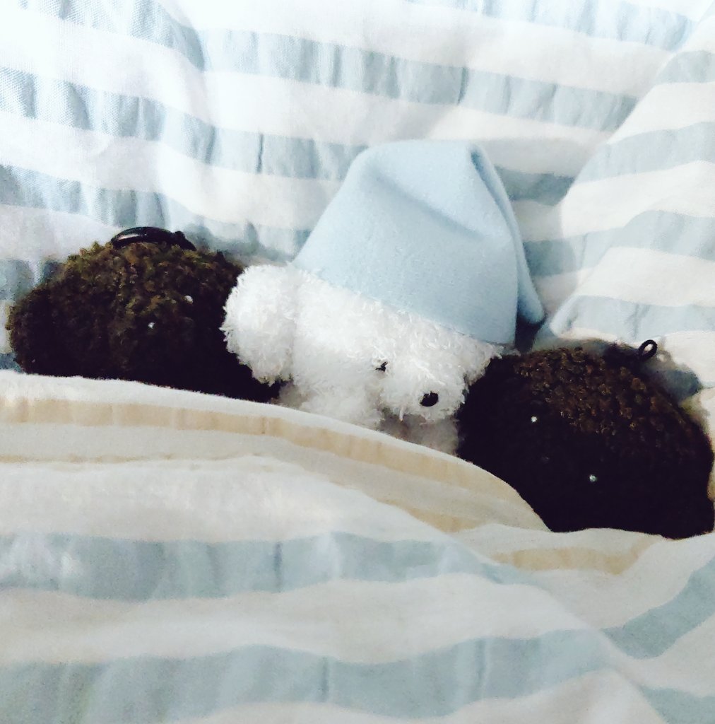 ワカナカナ tweet media