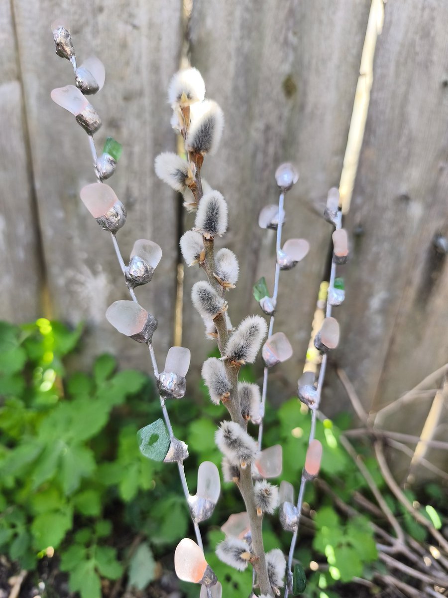 SeaStainedGlass's tweet image. #seaglass #botanicalart