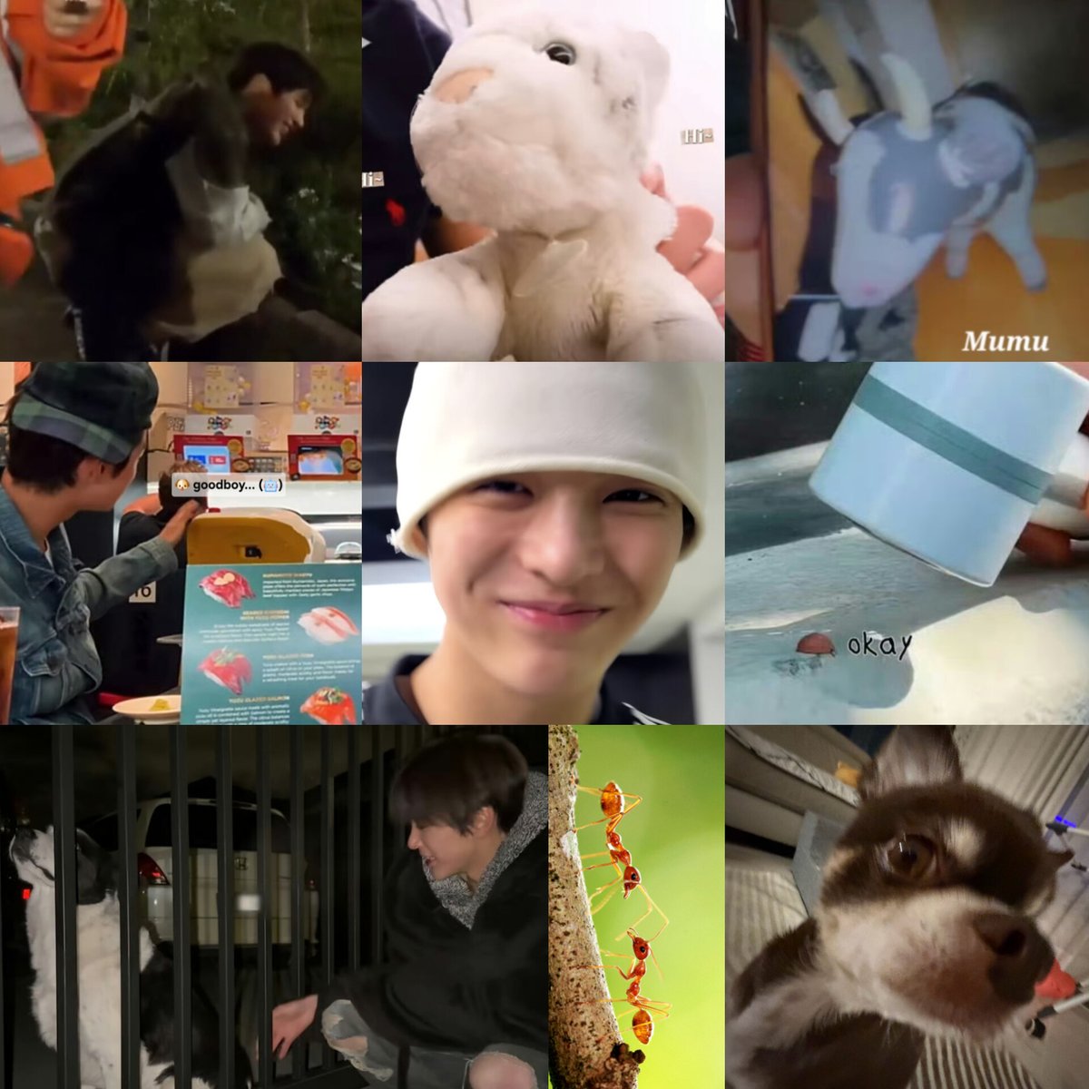 𝐊𝐇.𝐆𝐮𝐢𝐝𝐞 tweet media