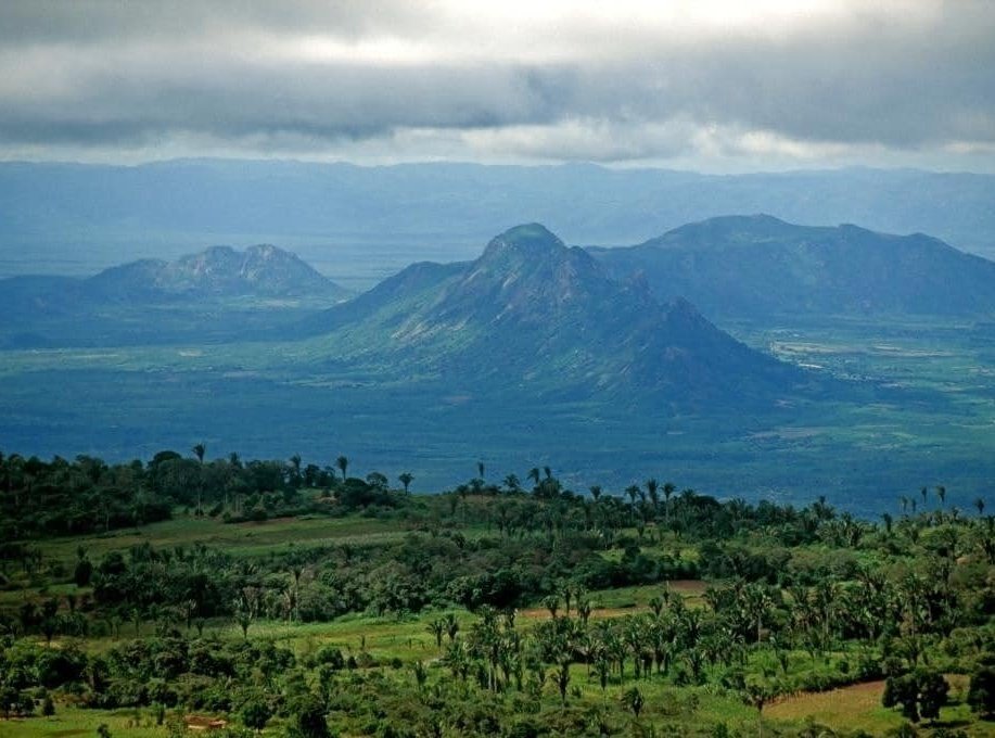 Nordeste Oriental tweet media